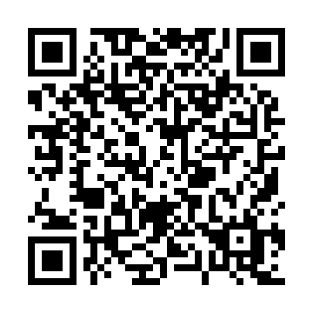 QR code for P19-93L