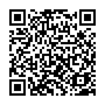 QR code for plate P19-93A