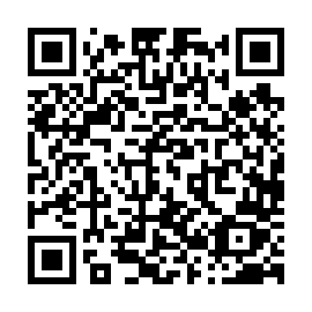 QR code for P2064Z