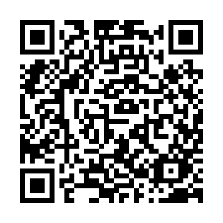 QR code for plate P21-20O