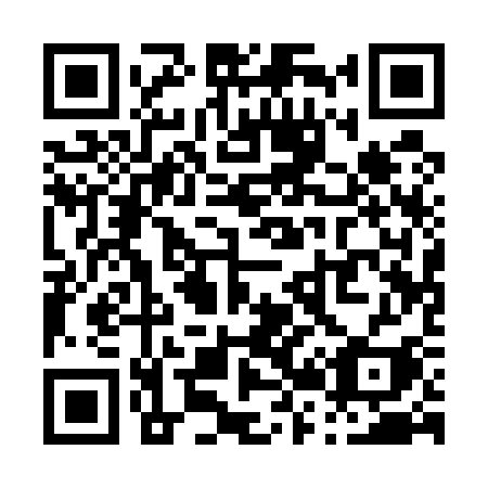 QR code for P2153I