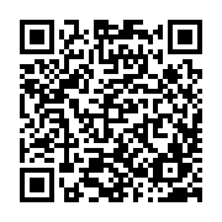 QR code for P22-39V