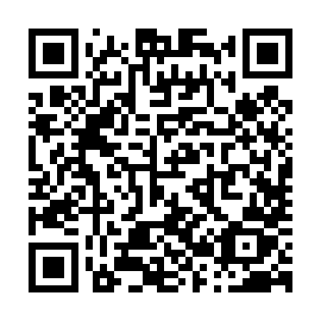 QR code for P22-48Z