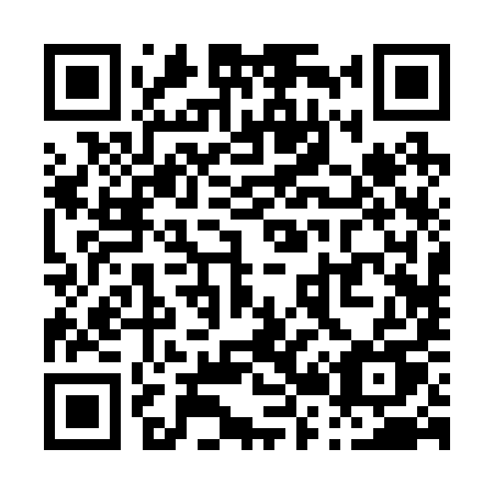 QR code for plate P22-29U