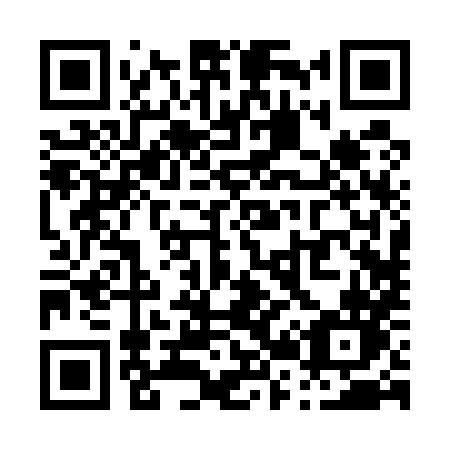QR code for P2258N