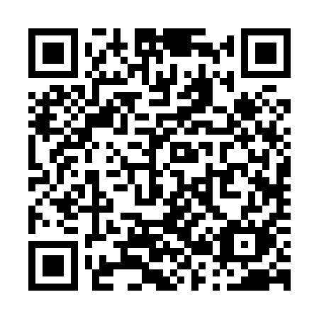 QR code for plate P22-81M