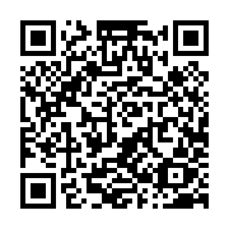 QR code for P2409Z