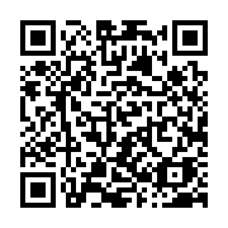 QR code for P2433A