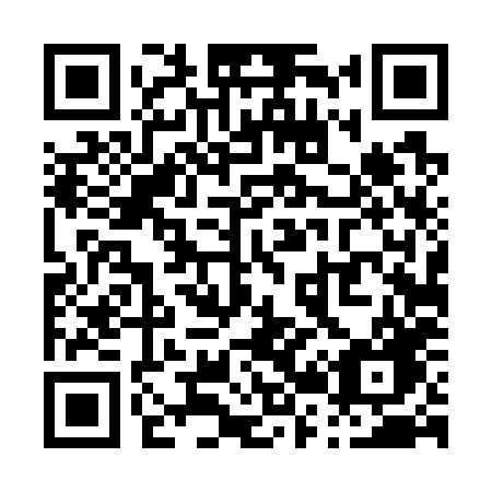 QR code for P2478G