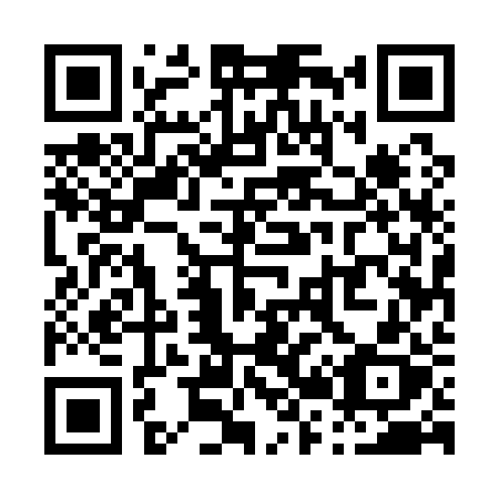 QR code for P25-12X