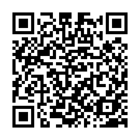QR code for P25-50H