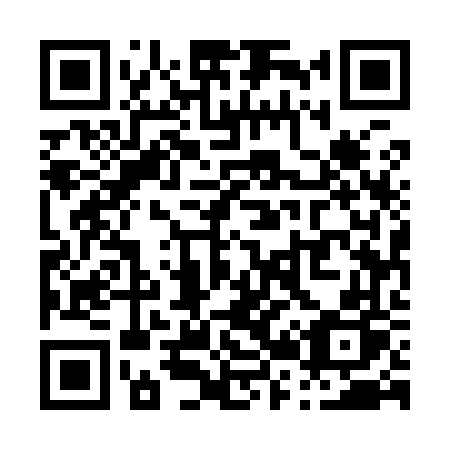 QR code for P25-96P