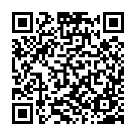 QR code for P2656T