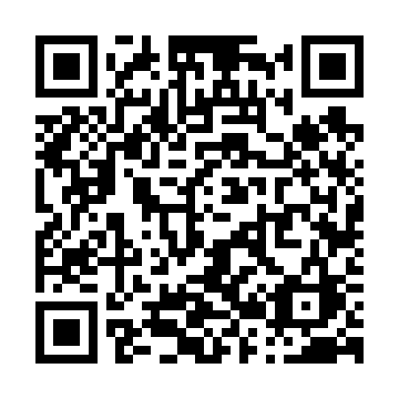 QR code for P2663C