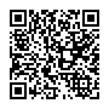 QR code for P2739L