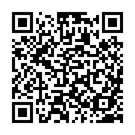 QR code for P28-28H