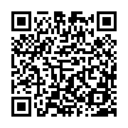 QR code for P2806J