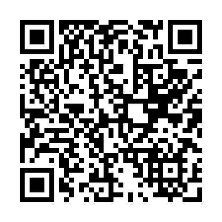 QR code for P2848N