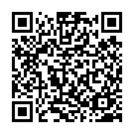QR code for P2961W