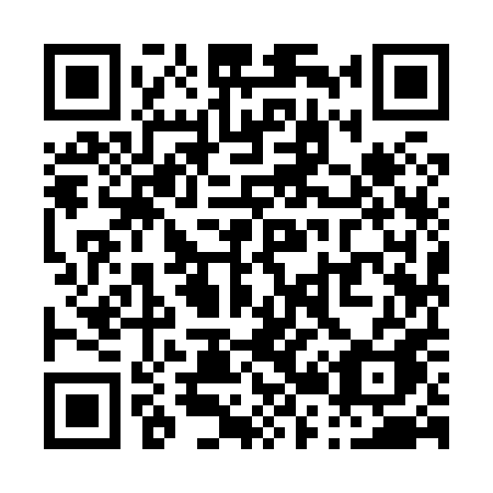 QR code for P2980A