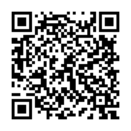 QR code for P30-88X