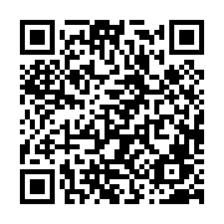 QR code for plate P30-06V