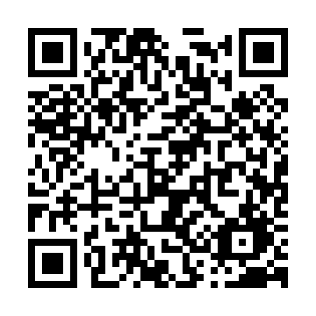 QR code for P31-02D