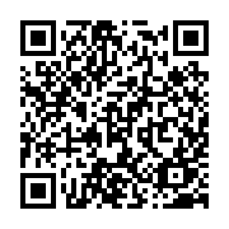 QR code for P31-29T