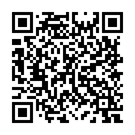 QR code for P31-95Z