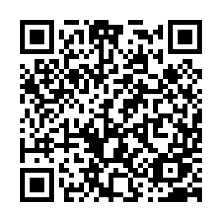 QR code for plate P31-04U