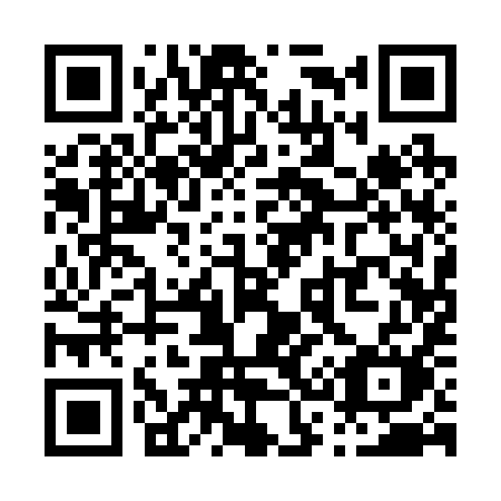 QR code for plate P31-29M