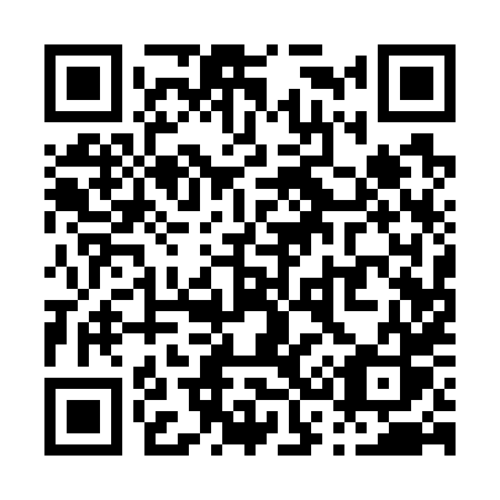 QR code for plate P31-78S