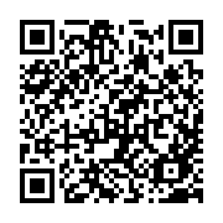 QR code for plate P32-38D