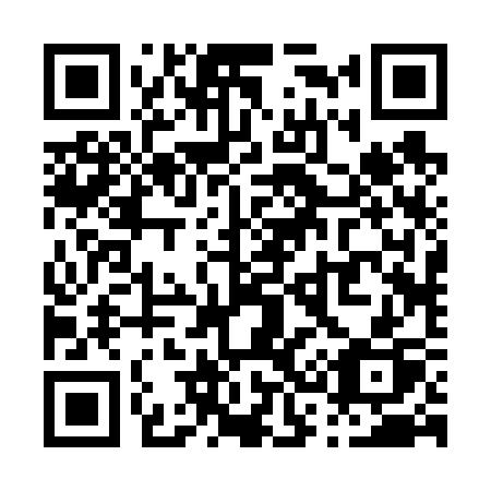 QR code for plate P32-63P