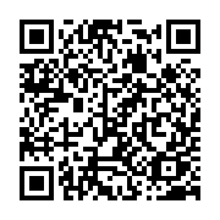 QR code for P33-85P