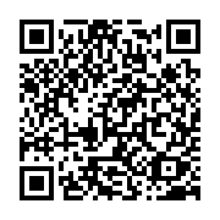 QR code for P3335Y