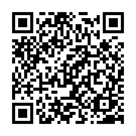 QR code for plate P33-97S
