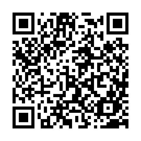 QR code for P38-29N