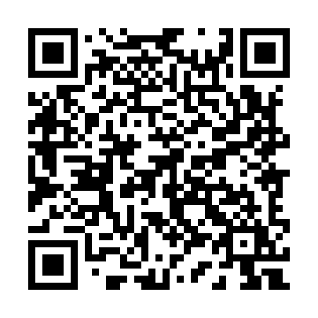 QR code for P38-99Y