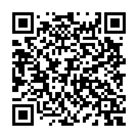 QR code for P3802S