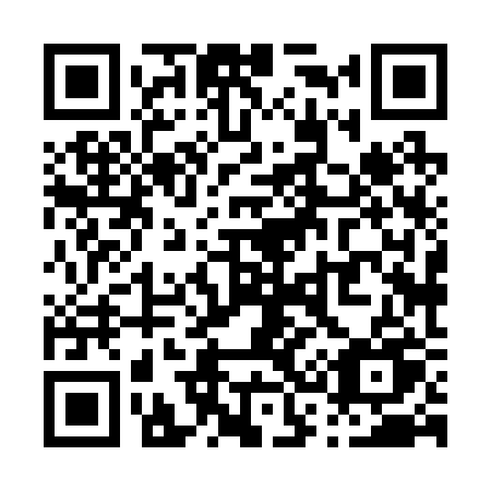 QR code for plate P38-22U