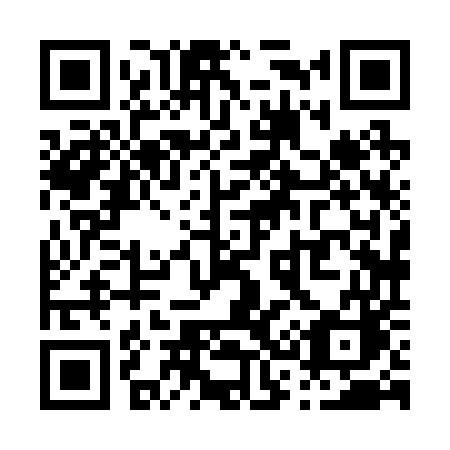 QR code for P3825C