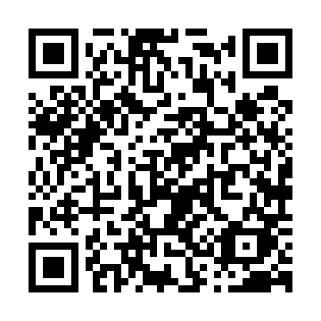 QR code for P3850K
