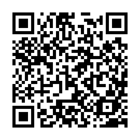 QR code for P3879J
