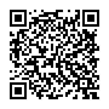 QR code for P3885S