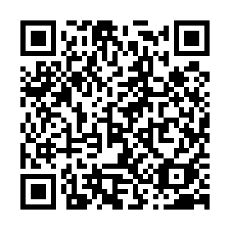 QR code for P39-51I