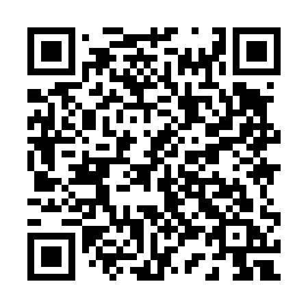 QR code for P3941C