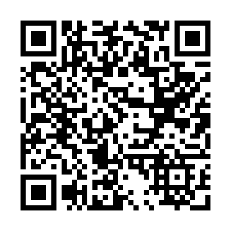 QR code for P40-46G