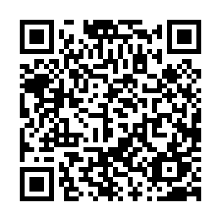QR code for plate P40-01T
