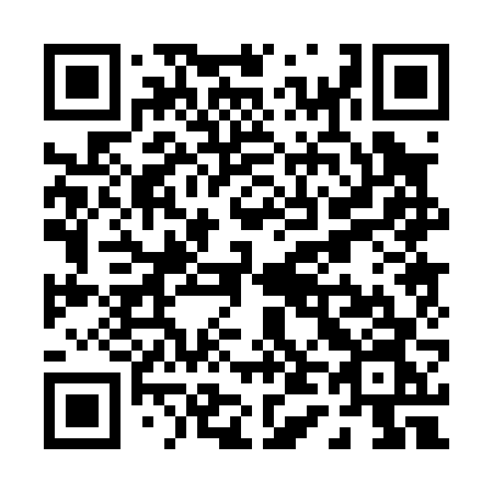 QR code for P4006N